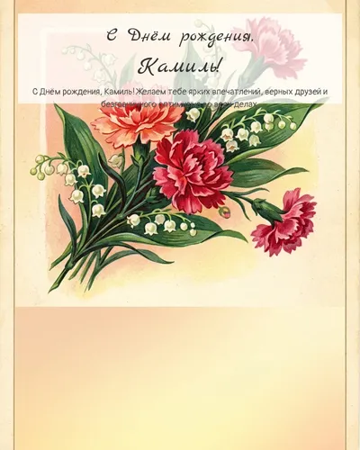 Открытка с днём рождения Камиль — в советском стиле